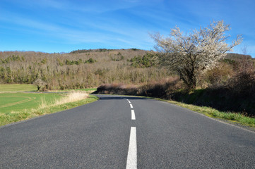 Fototapeta premium A national road in the mountain