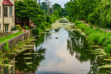 Fototapeta na wymiar Delaware Canal Towpath and goose, Historic New Hope, PA
