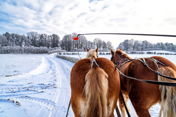 Schlittenfahrt im Winter in Masuren