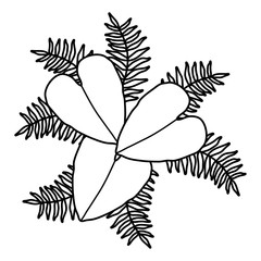 exotic and tropical leafs plant decoration