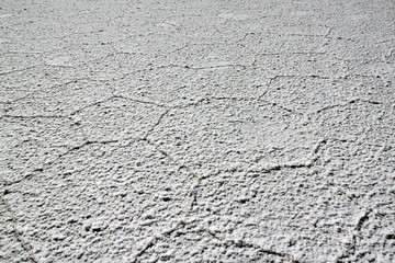 Salt growth in Uyuni