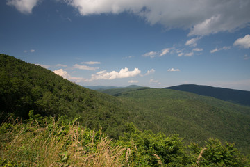 Shenandoah