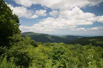 Shenandoah