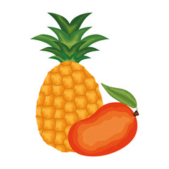 fresh mango and pineapple fruits