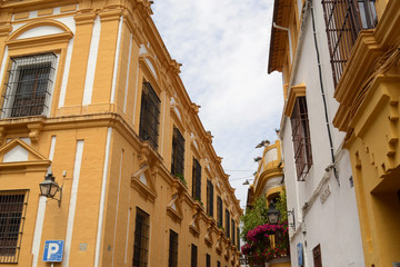 Streets of Cordoba, Spain