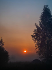 The red morning sun rises between the trees