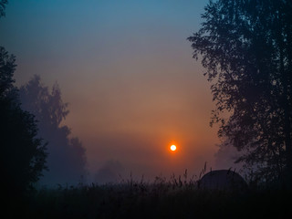 Fototapeta na wymiar The red morning sun rises between the trees