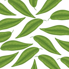 exotic and tropical leafs plants pattern