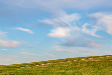 A South Downs Summer Landscape