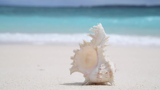 美しい沖縄の海