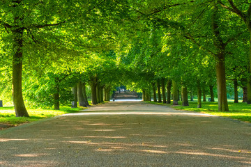 Greenwich Park in London, UK