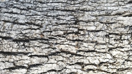 texture of old stone wall