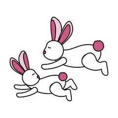 Isolated rabbits cartoons vector design