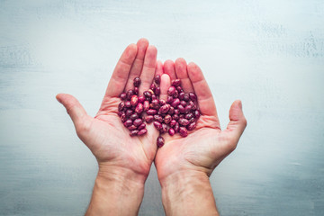 Hands Holding Red Beans on White Background