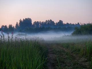 Layers of fog soar in still air over a meadow