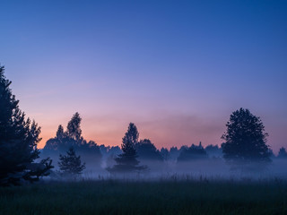 Layers of fog soar in still air over a meadow