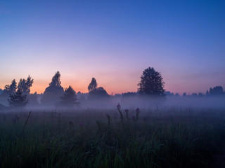Layers of fog soar in still air over a meadow