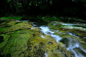 Obraz premium 夏の気仙大滝