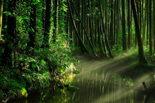 牛渡川 Images Browse 57 Stock Photos Vectors And Video Adobe Stock