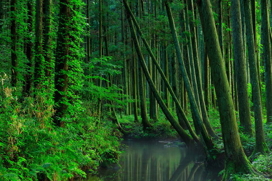 牛渡川 Images Browse 57 Stock Photos Vectors And Video Adobe Stock