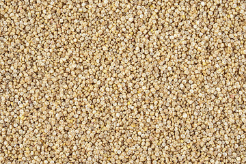 Full grain harvest of grain grain buckwheat rice
