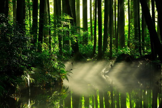 牛渡川 Images Browse 57 Stock Photos Vectors And Video Adobe Stock