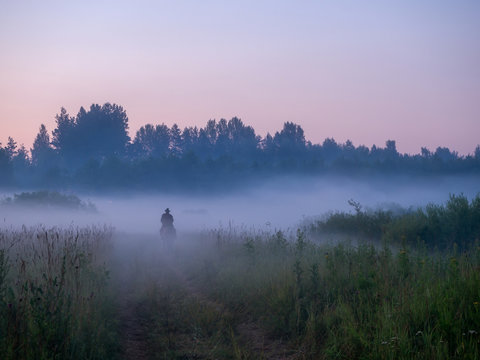 Silhouette of a man on a horse who rides through the morning fog