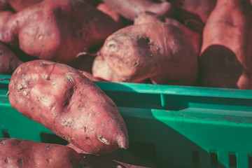 Fresh sweet potato on a market