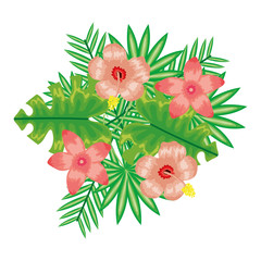 exotic and tropical flowers with leafs garden decoration