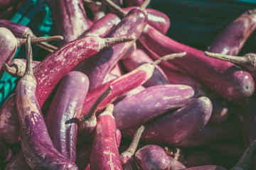Fresh eggplant on sunday market