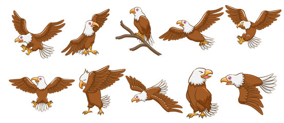 eagle vector set graphic clipart