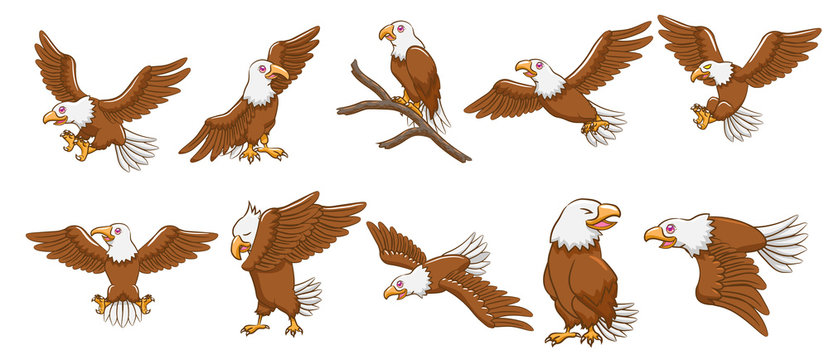 eagle vector set graphic clipart