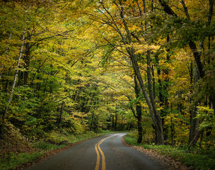 Fototapeta premium camino amarillo