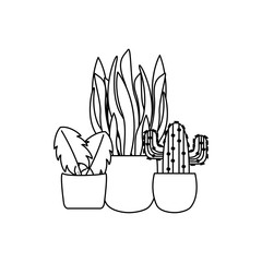 Isolated plants inside pots vector design