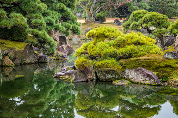 Perfectly pruned pine trees, moss and old stone reflecting in smooth dark green water in a Japanese garden