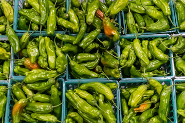 Organic Shishito Peppers from above for sale