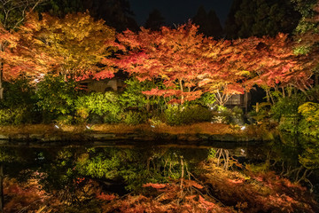 Dark evening with bright colorful trees reflecting in the water of a Japanese garden