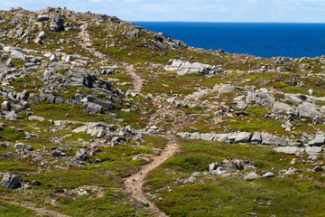 Fototapeta na wymiar winding paths through rocky area, Newfoundland coastline at Bonavista