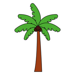 Palm tree of summer season design