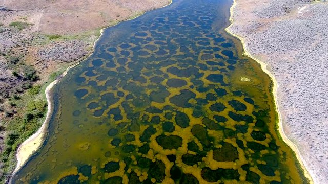 Mysterious Spotted Lake  in Osoyoos | British Columbia Canada