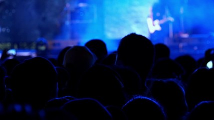 Cheering crowd people enjoying outdoor music concert festival.