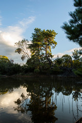 Obraz premium Tranquil waterscape in quiet regional Australia area.