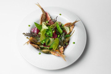 author;s fish salad on a white background