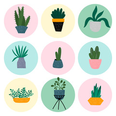 House plants colourful hand drawn illustration set of icons. Cute pots, cactuses and succulents. Isolated cartoon item in Scandinavian style.