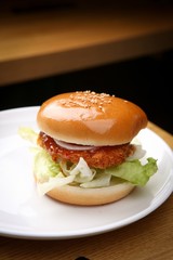 Hamburger on a plate