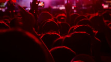 Cheering crowd people enjoying outdoor music concert festival.