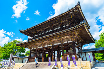 Obraz premium 仁和寺 京都観光 日本