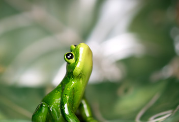 Ceramic green frog  figurine looking up against green blurry  background