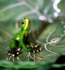 Ceramic green frog figurine with golden toes sitting looking up against green blurry  background
