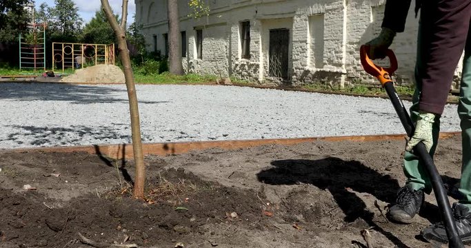 Unrecognizable groundskeeper using spade to throw soil while planting tree sapling in yard on sunny day